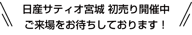 日産サティオ宮城 初売り開催中 ご来場をお待ちしております！