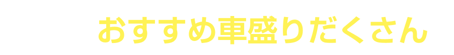 他にもおすすめ車盛りだくさん