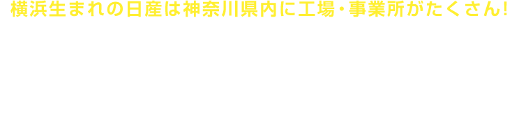 イベントやフェアを定期的に開催中!