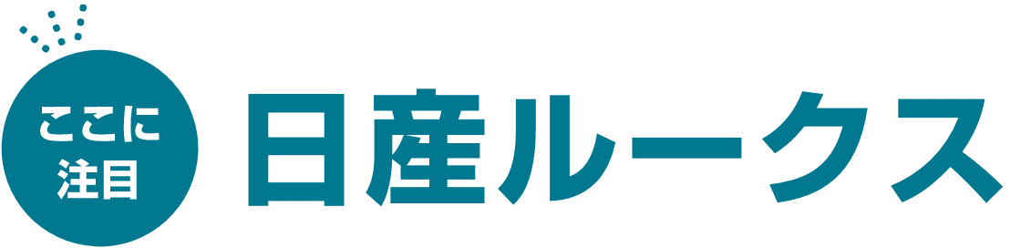 ここに注目　日産ルークス