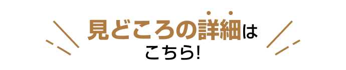 見どころの詳細はこちら！