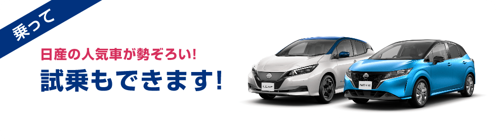 乗って日産の人気車が勢ぞろい!試乗もできます!