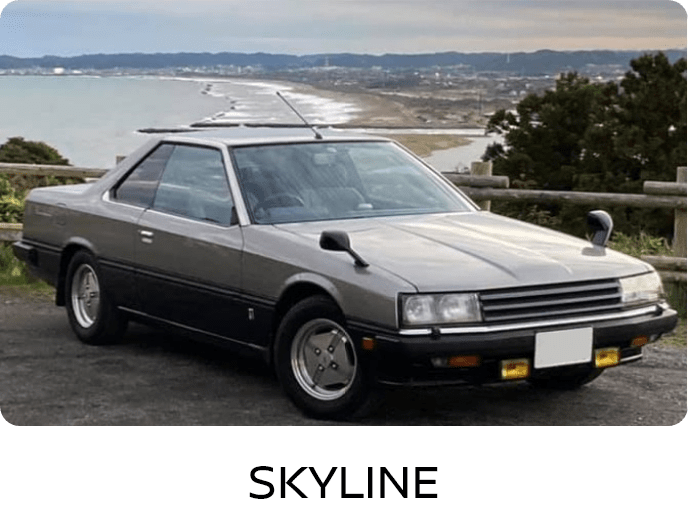 SKYLINE