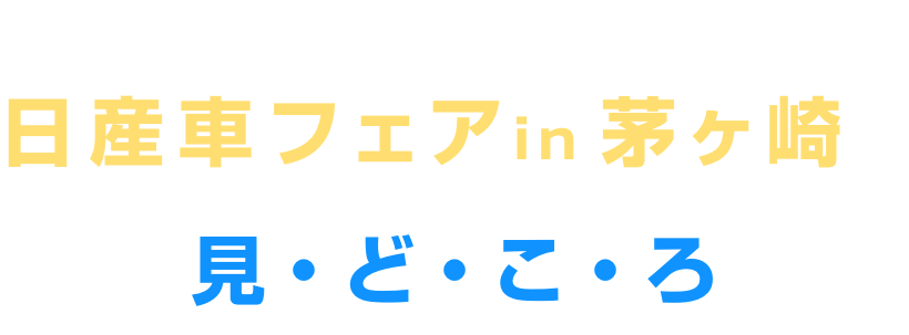 家族みんなで楽しめる! 日産車フェア in 茅ヶ崎の見・ど・こ・ろ