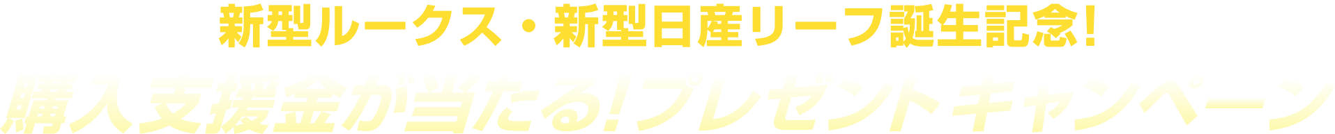 新型ルークス・新型日産リーフ誕生記念！購入支援金が当たる！プレゼントキャンペーン