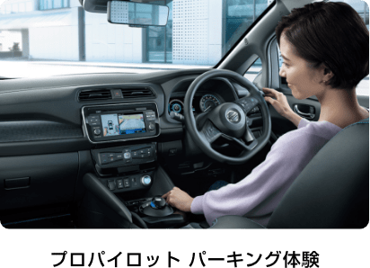 プロパイロット パーキング体験