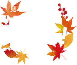 見どころ03 楽しむ!