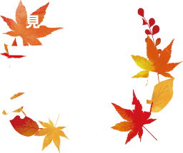 見どころ02 乗って!