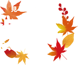 見どころ01 見て!