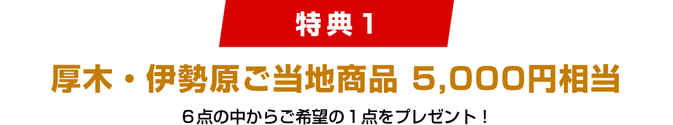 [特典1]厚木・伊勢原ご当地商品 5,000円相当 6点の中からご希望の１点をプレゼント！