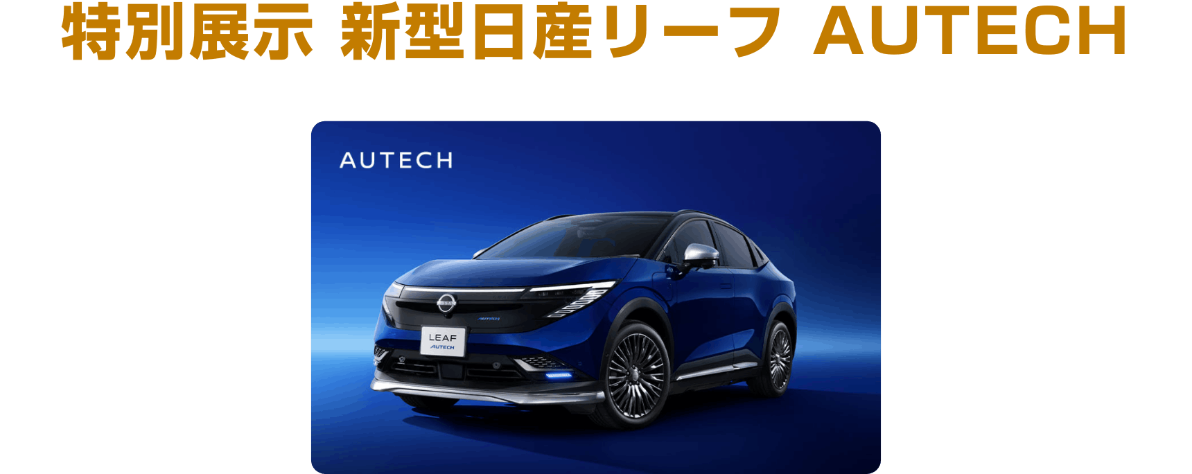 特別展示 新型日産リーフ AUTECH