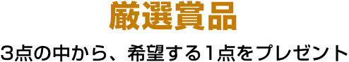 厳選賞品 3点の中から、希望する1点をプレゼント