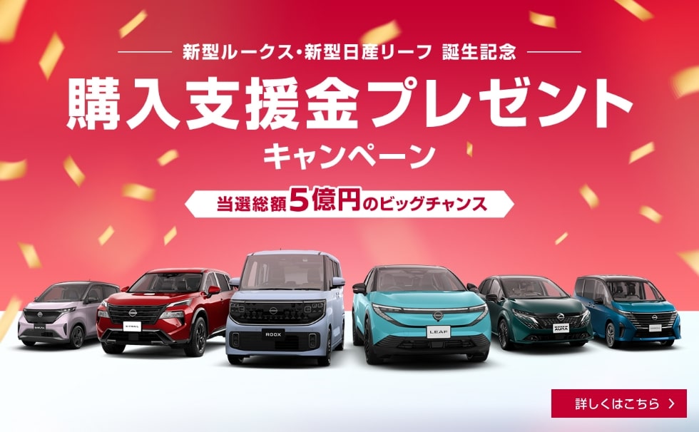 新型ルークス・新型日産リーフ 誕生記念 購入支援金プレゼントキャンペーン 詳しくはこちら