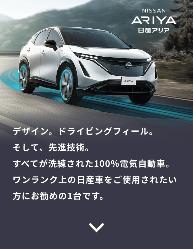 NISSAN ARIYA 日産アリア