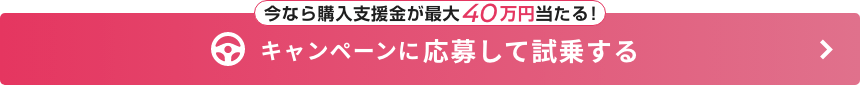 今なら購入支援金が最大40万円当たる! キャンペーンに応募して試乗する