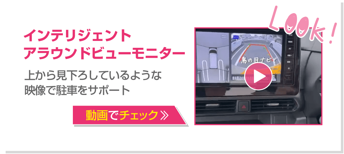 インテリジェントアラウンドビューモニター