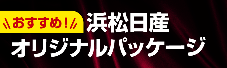 浜松日産オリジナルパッケージ