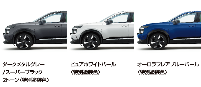 ボディーカラー
