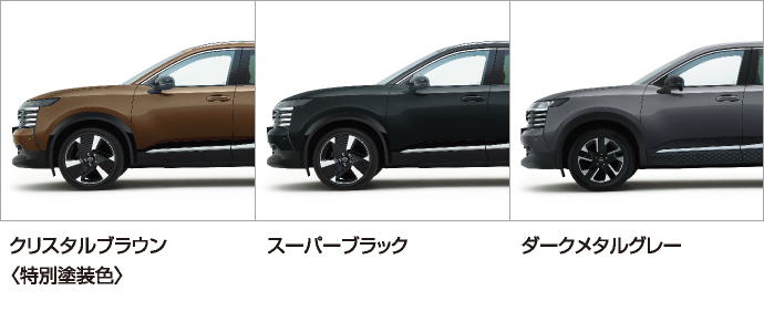 ボディーカラー