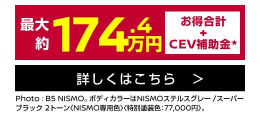 新型リーフ