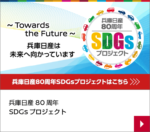 SDGs