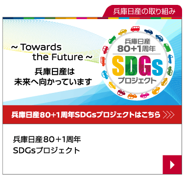 SDGs