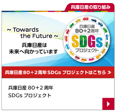 SDGs