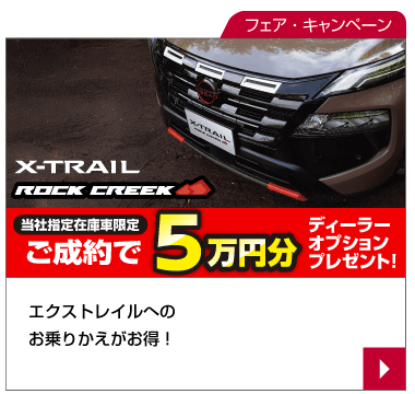 X-TRAIL
