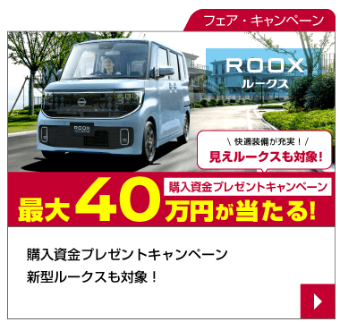 ルークス