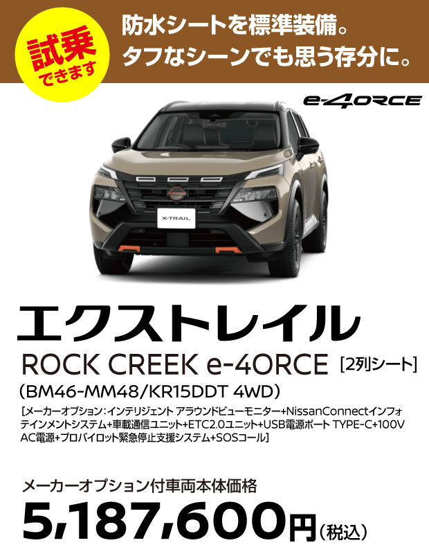 X-TRAIL