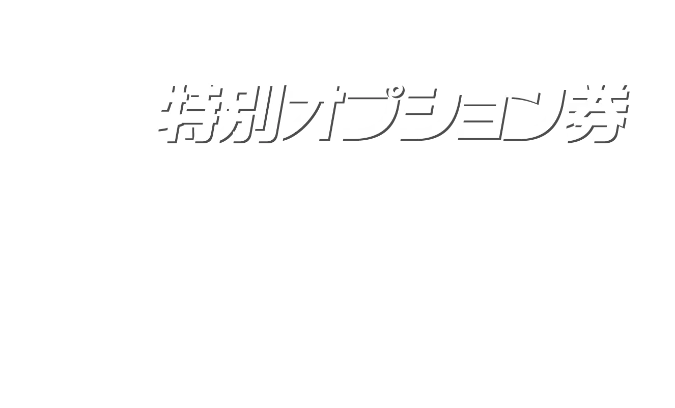 特別オプション券画像