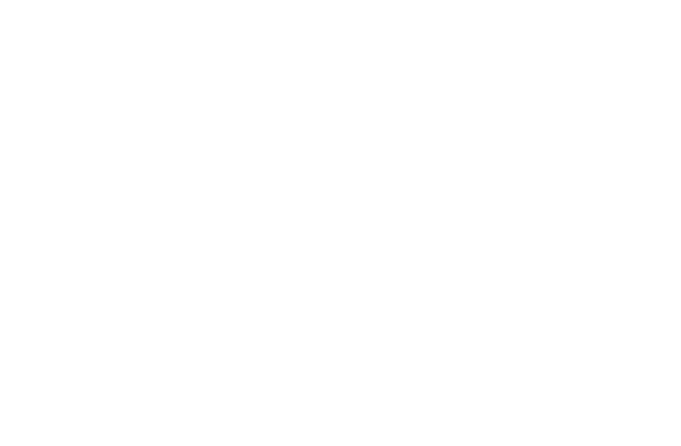 最大10万円オプション券画像