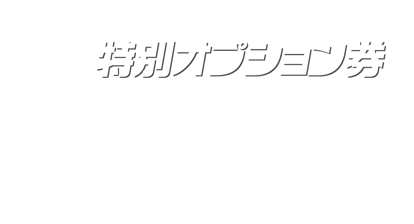 特別オプション券画像