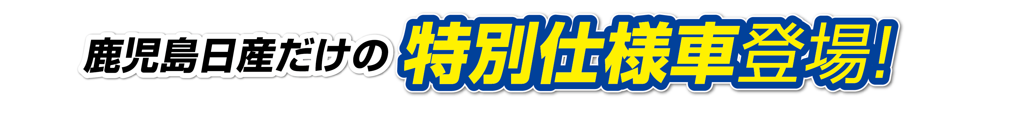 日産だけの特別仕様車登場