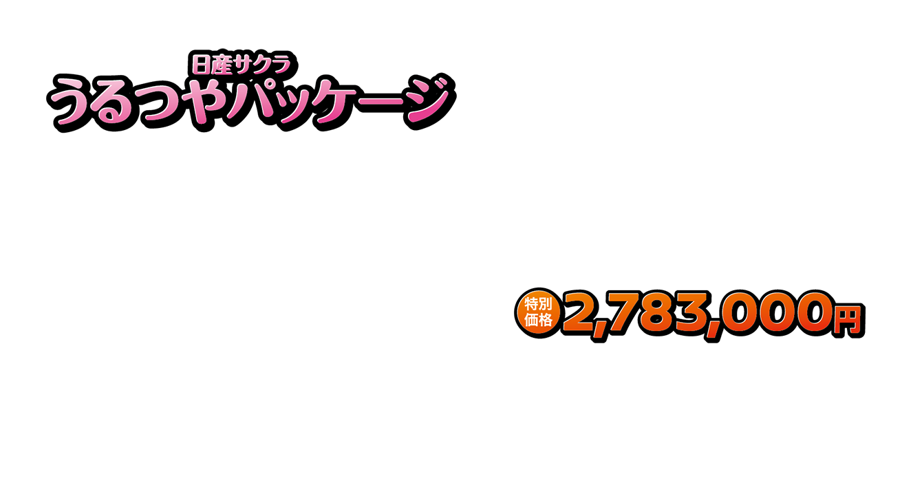 特別価格2,783,000円