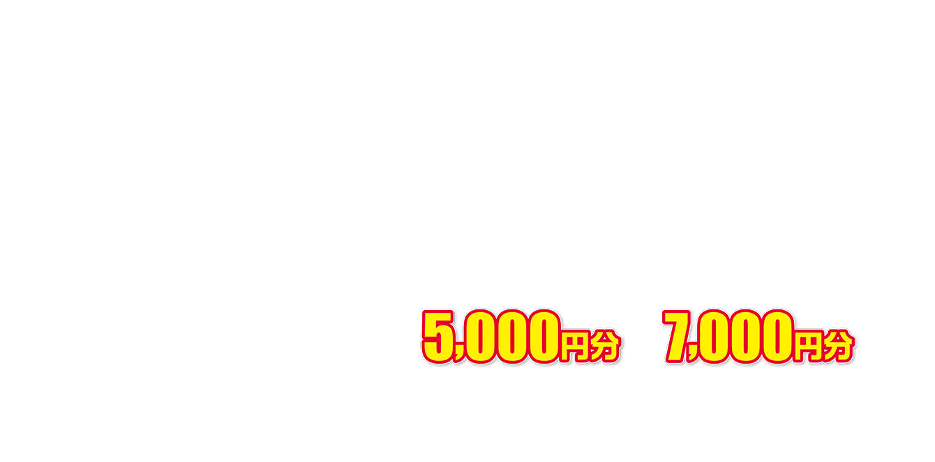 10万円（税込み）
