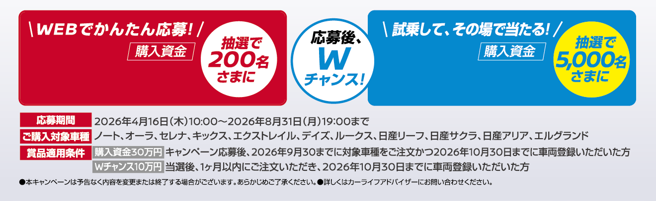 キャンペーン情報
