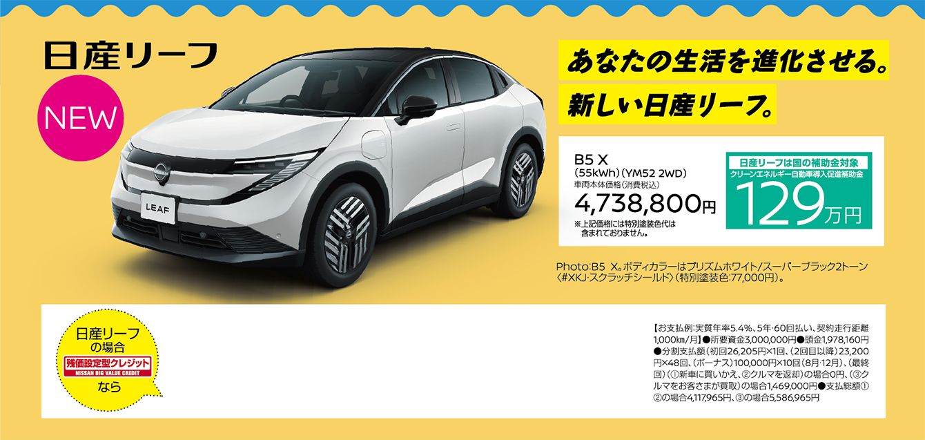 あなたの生活を進化させる。新しい日産リーフ。 日産リーフ