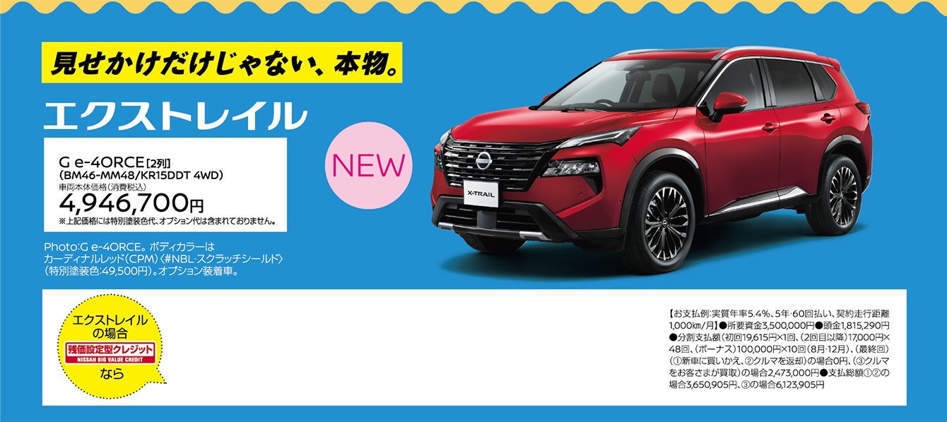 見せかけだけじゃない、本物。 エクストレイル