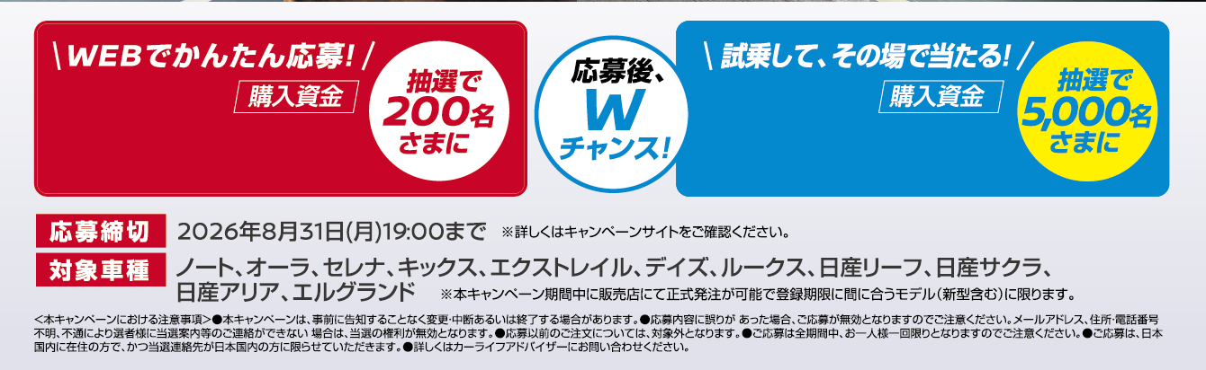 キャンペーン情報