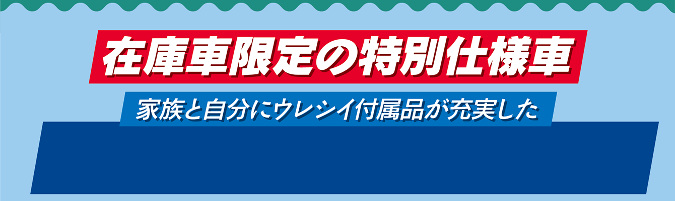 在庫車限定の特別仕様車