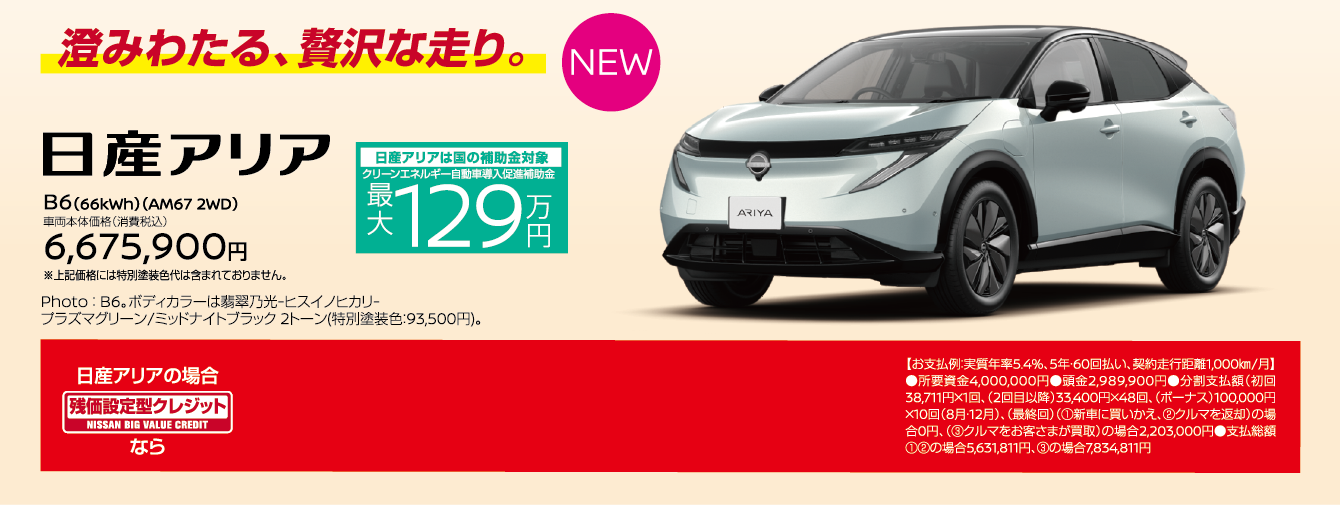 澄みわたる、贅沢な走り。日産アリア