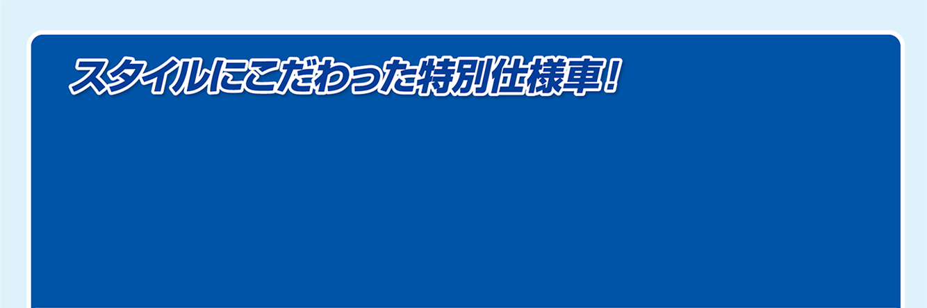 スタイルにこだわった特別仕様車！