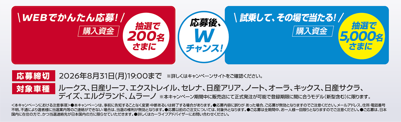 キャンペーン情報