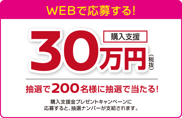 WEBで応募購入支援金プレゼント30万円