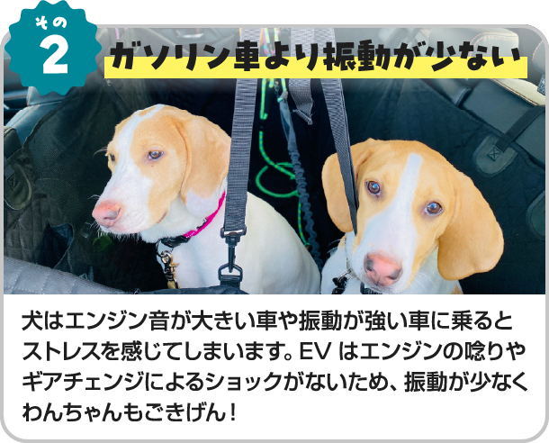 その2、ガソリン車より振動が少ない。犬はエンジン音が大きい車や振動が強い車に乗るとストレスを感じてしまいます。EVはエンジンの唸りやギアチェンジによるショックがないため、振動が少なくわんちゃんもごきげん！