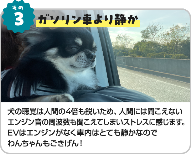 その3、ガソリン車より静か。犬の聴覚は人間の4倍も鋭いため、人間には聞こえないエンジン音の周波数も聞こえてしまいストレスに感じます。EVはエンジンがなく車内はとても静かなのでわんちゃんもごきげん！