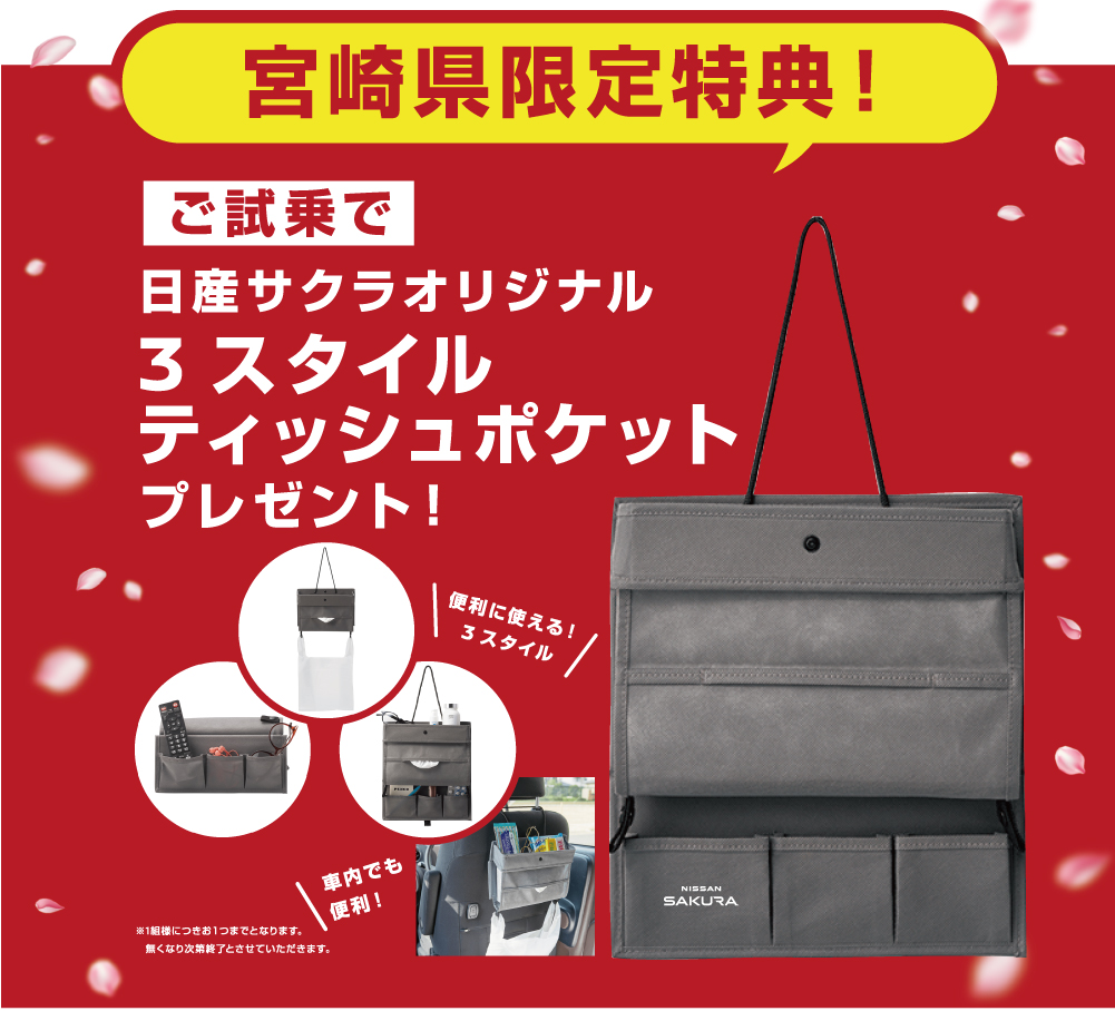 宮崎県限定特典　ご試乗でティッシュポケットプレゼント！