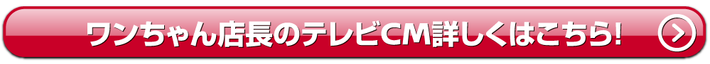 ワンちゃん店長のテレビCM