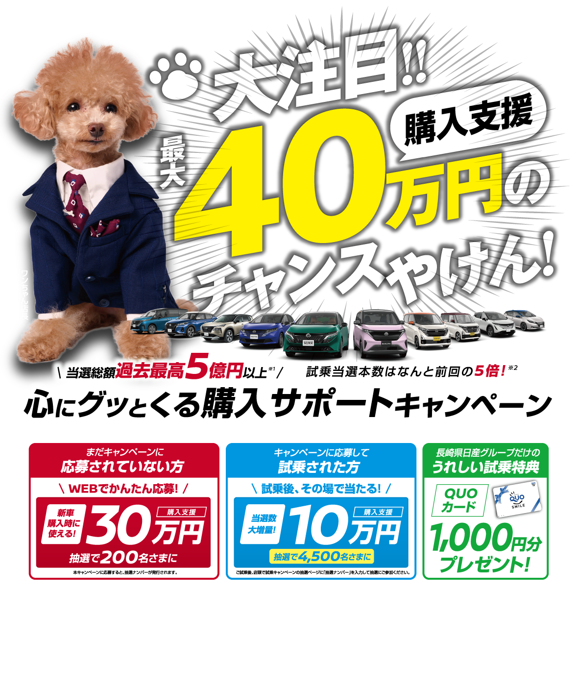 購入サポートキャンペーン